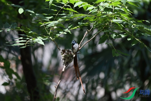 DPP_1295.JPG