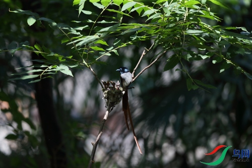 DPP_1309.JPG