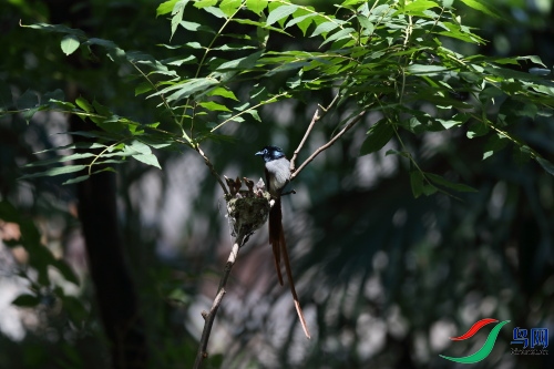 DPP_1311.JPG