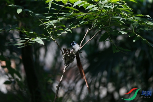 DPP_1324.JPG