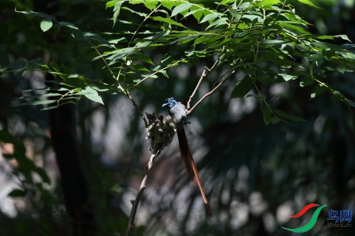 DPP_1319.JPG