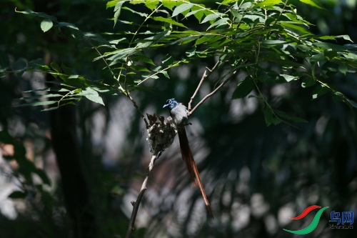 DPP_1320.JPG