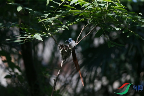 DPP_1340.JPG
