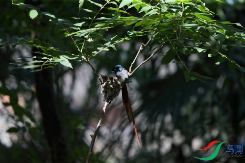 DPP_1333.JPG