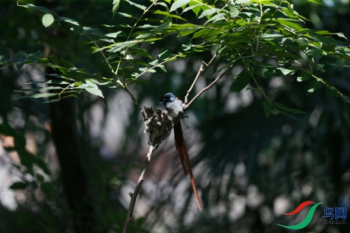 DPP_1334.JPG