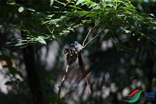 DPP_1339.JPG