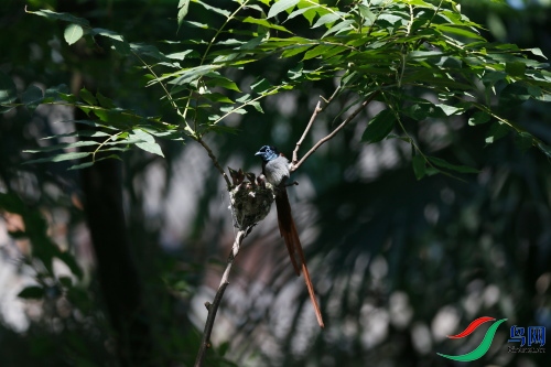 DPP_1336.JPG
