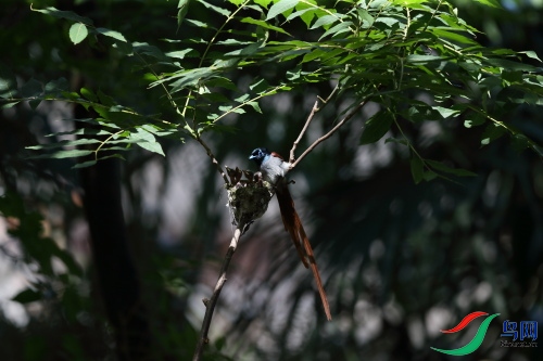 DPP_1343.JPG