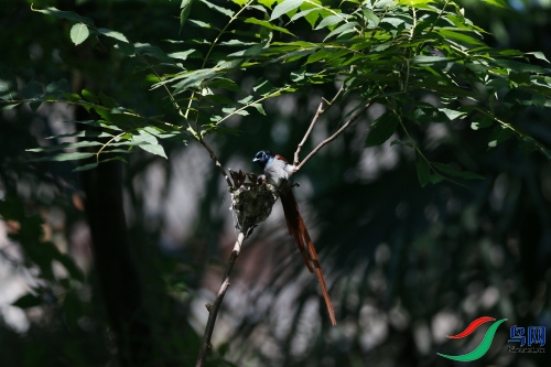 DPP_1344.JPG