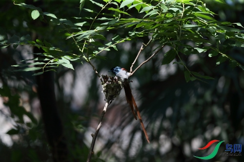 DPP_1341.JPG