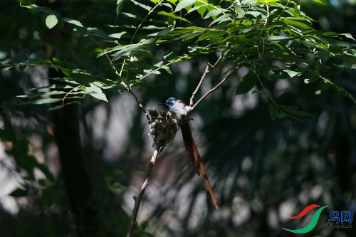 DPP_1342.JPG