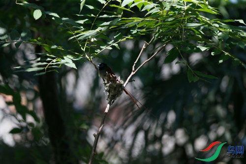 DPP_1350.JPG