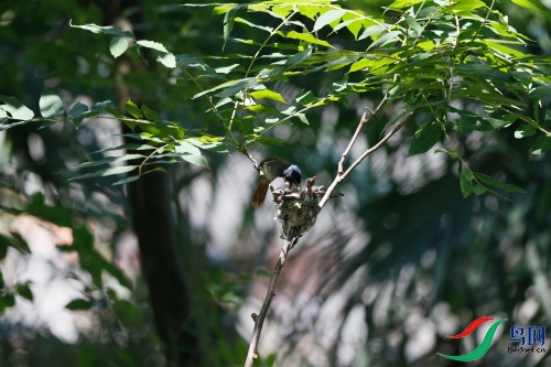 DPP_1352.JPG