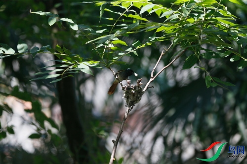 DPP_1358.JPG