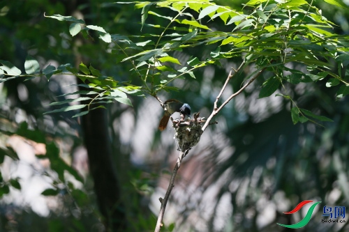 DPP_1354.JPG