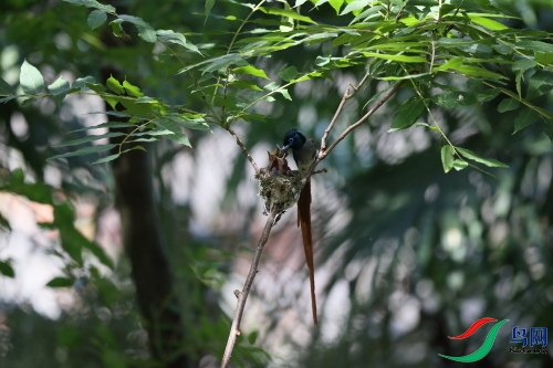 DPP_1373.JPG