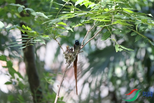 DPP_1377.JPG