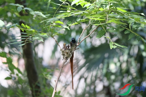 DPP_1375.JPG