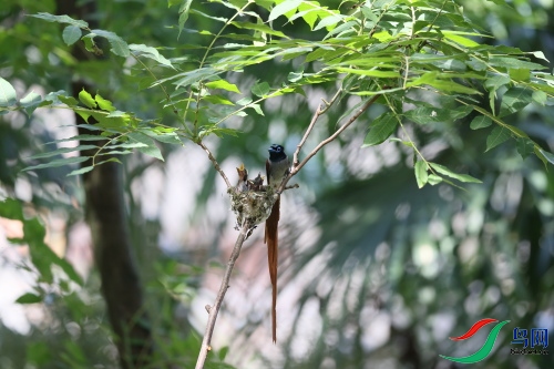 DPP_1381.JPG
