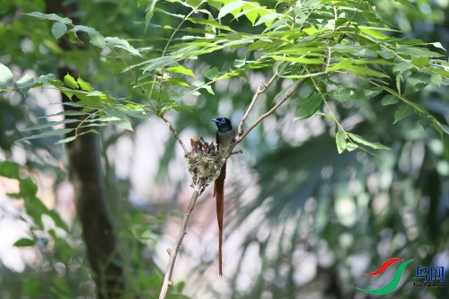 DPP_1387.JPG