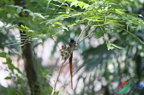 DPP_1397.JPG