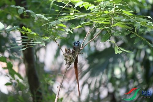 DPP_1403.JPG