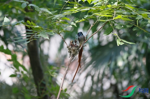 DPP_1410.JPG