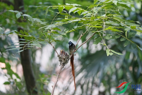 DPP_1428.JPG