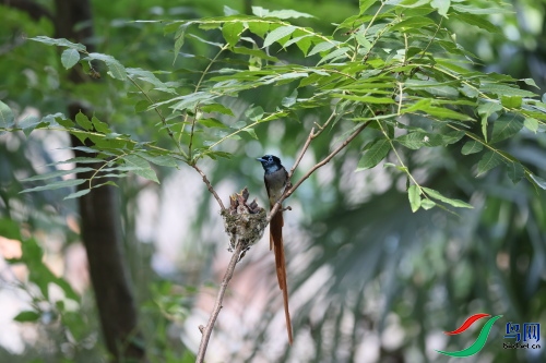 DPP_1441.JPG