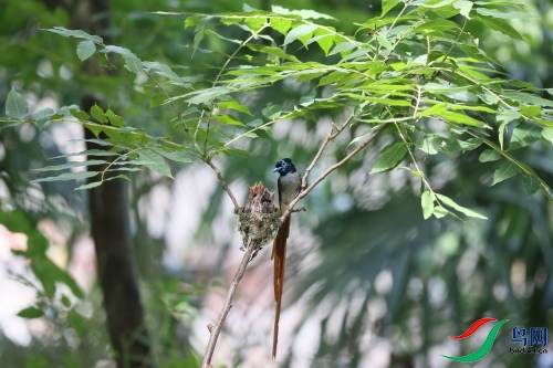 DPP_1511.JPG