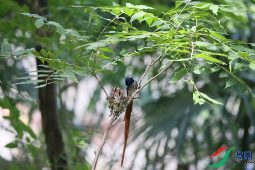 DPP_1523.JPG
