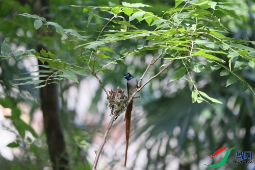 DPP_1519.JPG