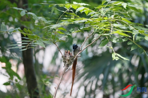 DPP_1524.JPG