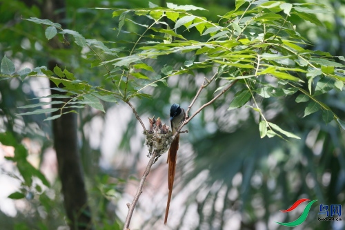 DPP_1528.JPG