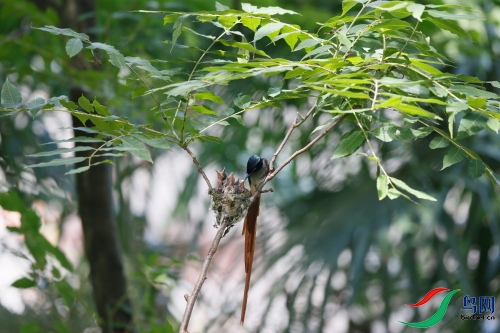 DPP_1536.JPG