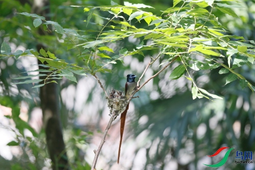 DPP_1548.JPG