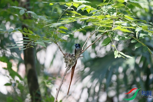 DPP_1558.JPG
