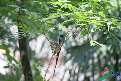DPP_1555.JPG