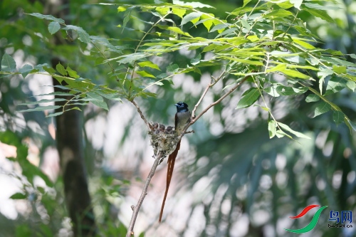 DPP_1562.JPG