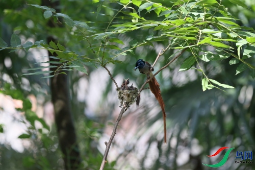 DPP_1609.JPG