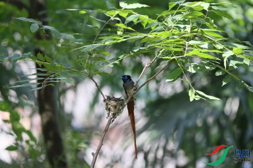 DPP_1643.JPG