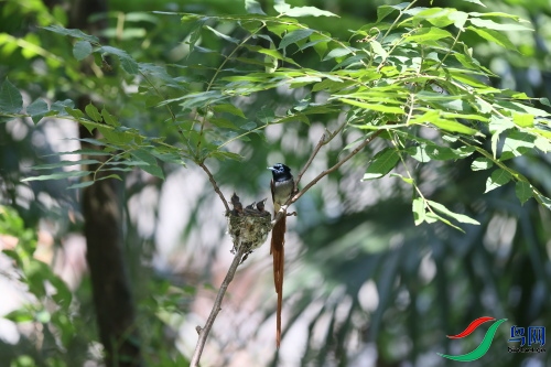 DPP_1673.JPG