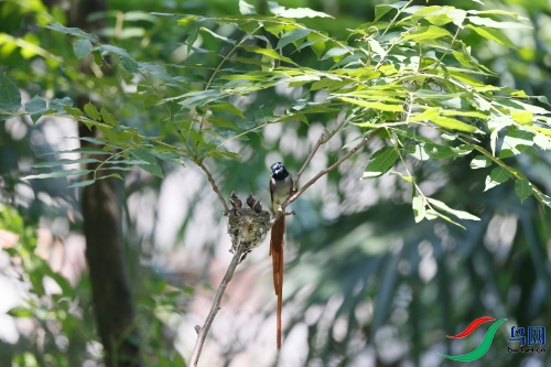 DPP_1690.JPG