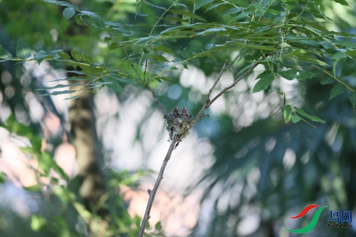 DPP_2325.JPG
