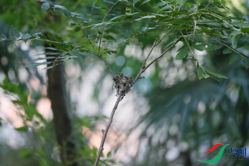 DPP_2562.JPG