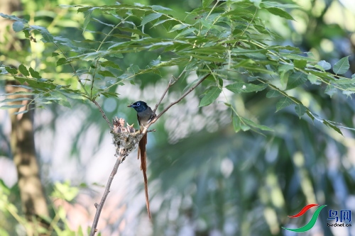 DPP_2639.JPG