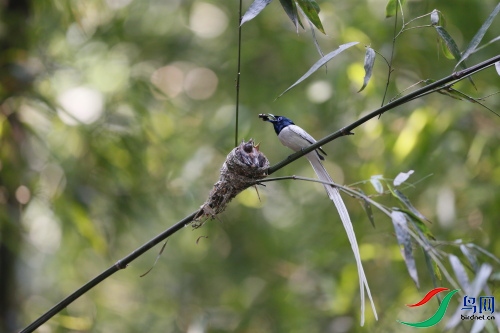 DPP_2828.JPG