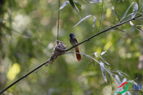 DPP_3108.JPG