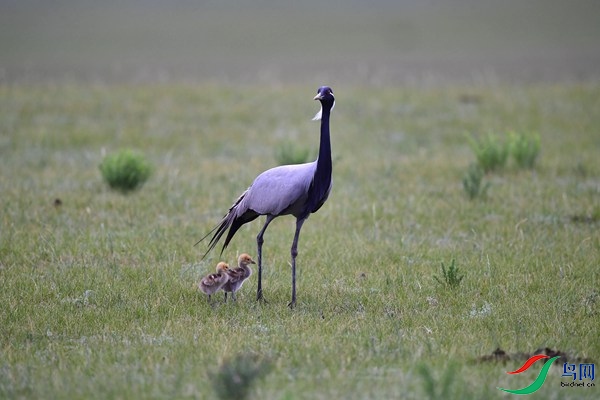 _DSC6149.jpg
