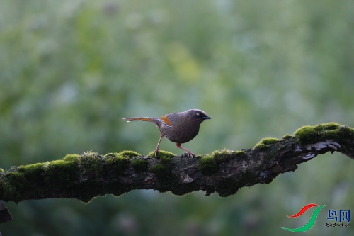 DPP_0042.JPG